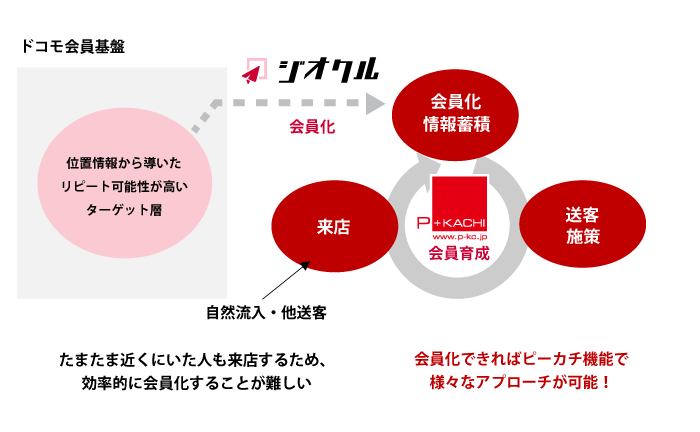 ジオクル×ピーカチ